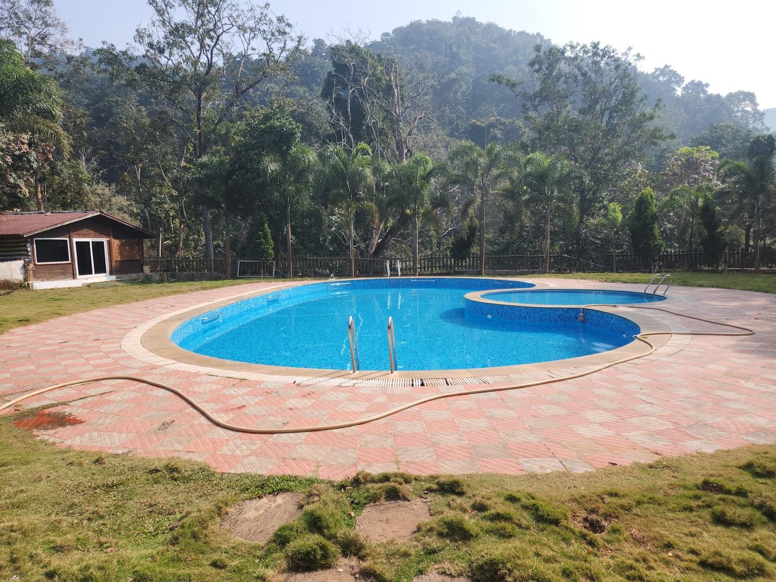 The woods resort swimming pool – photo 1