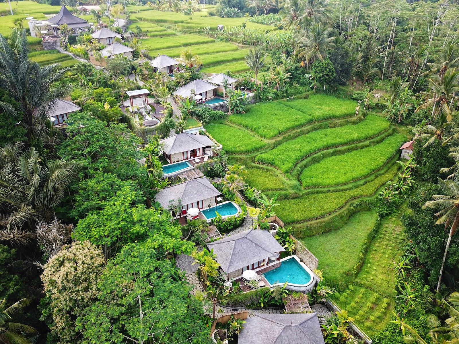 Nau villa ubud