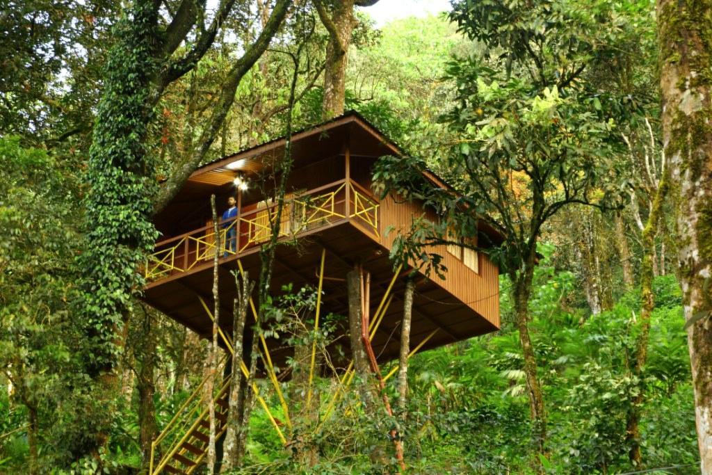 Munnar Treehouse – photo 3