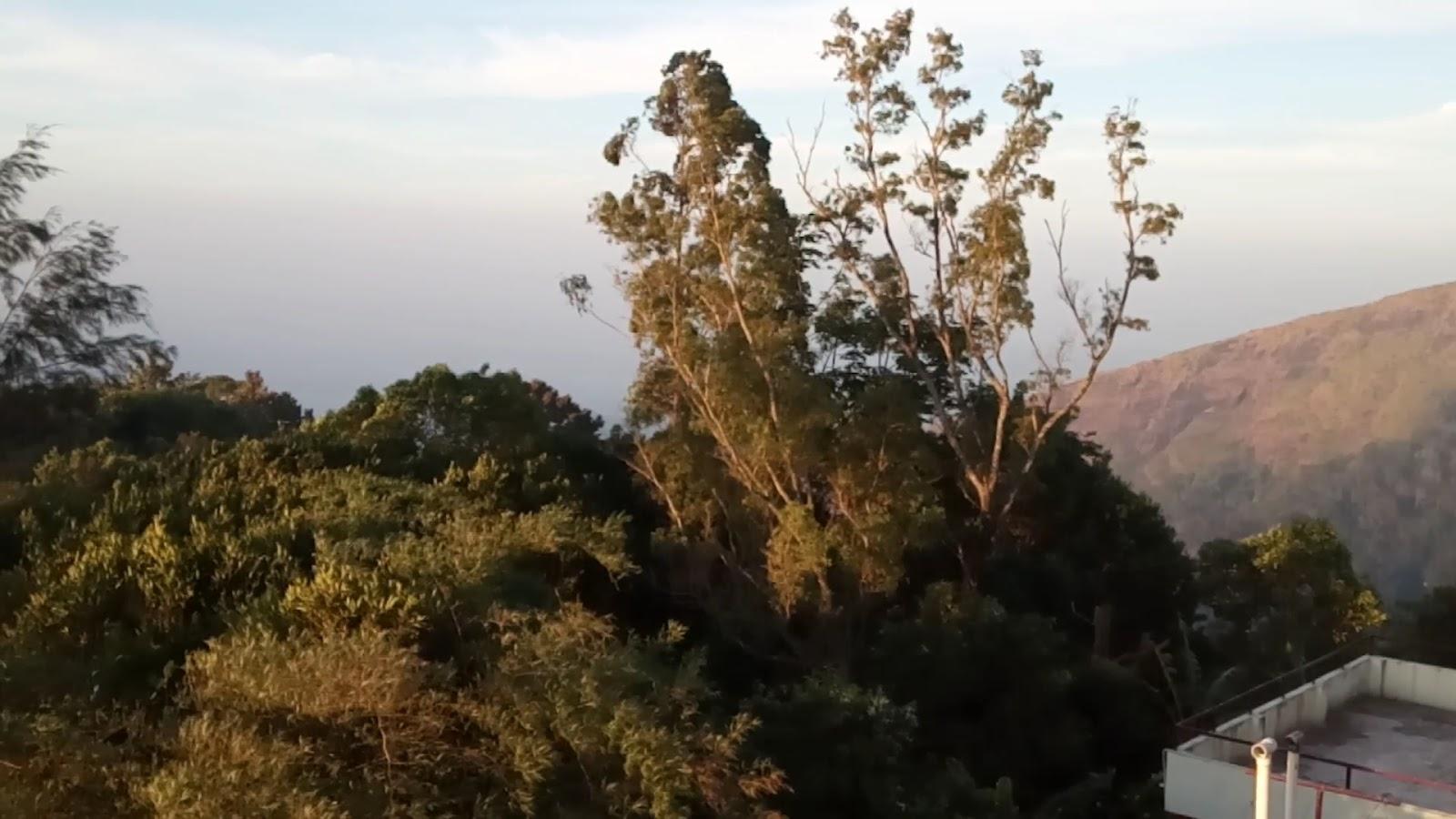 Royal Mist Valley – photo 2