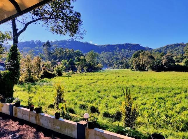 Wild Mist Munnar Homestay – photo 4