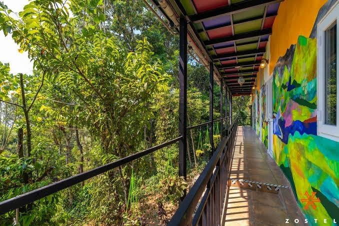 Zostel Munnar – photo 4