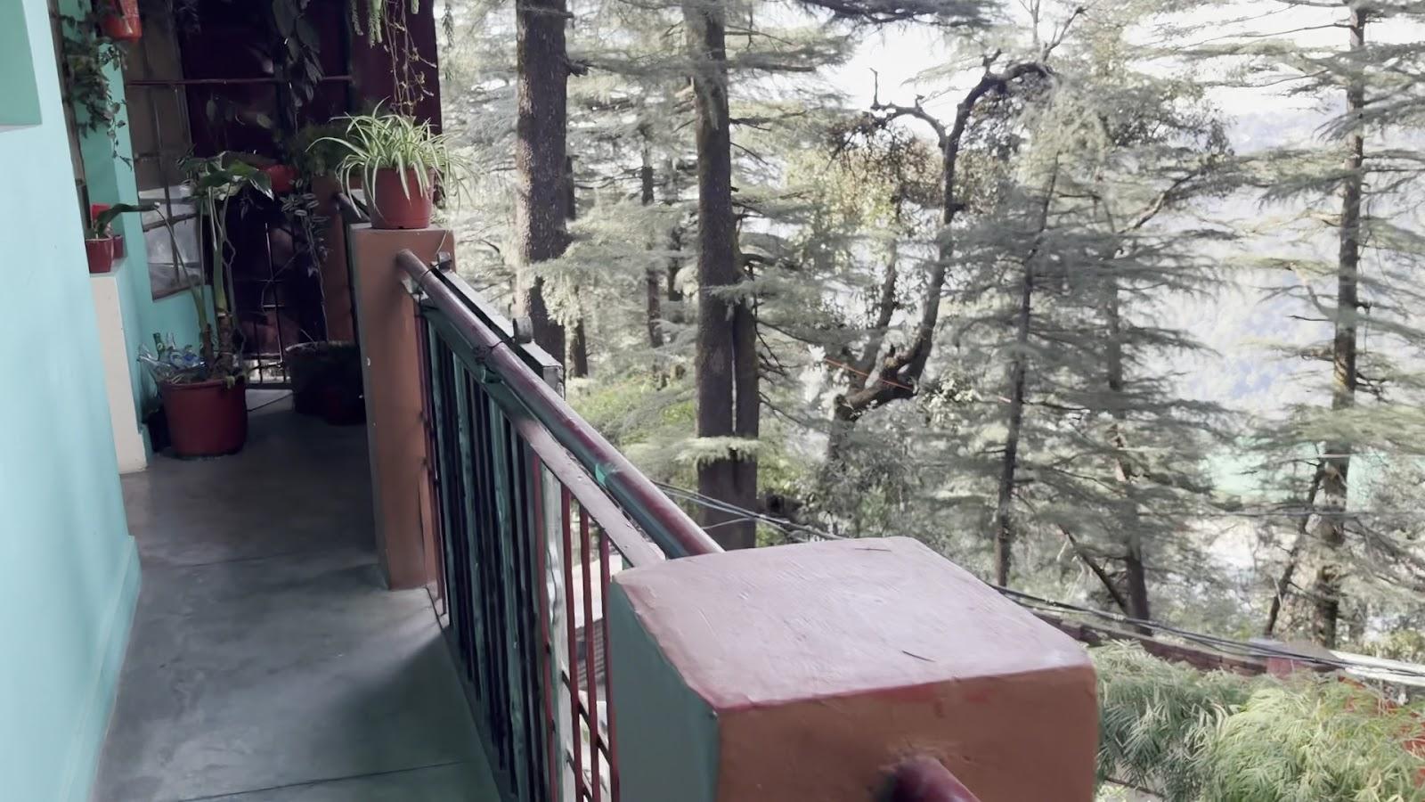 Shree Guest House – photo 2