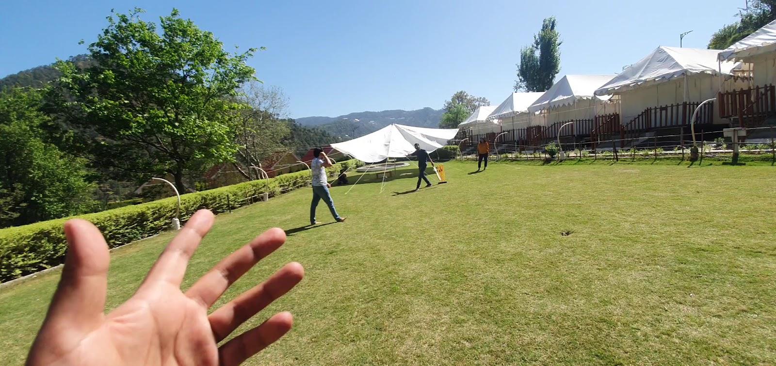 Niyama Jungle Resort, Chail Hills – photo 2