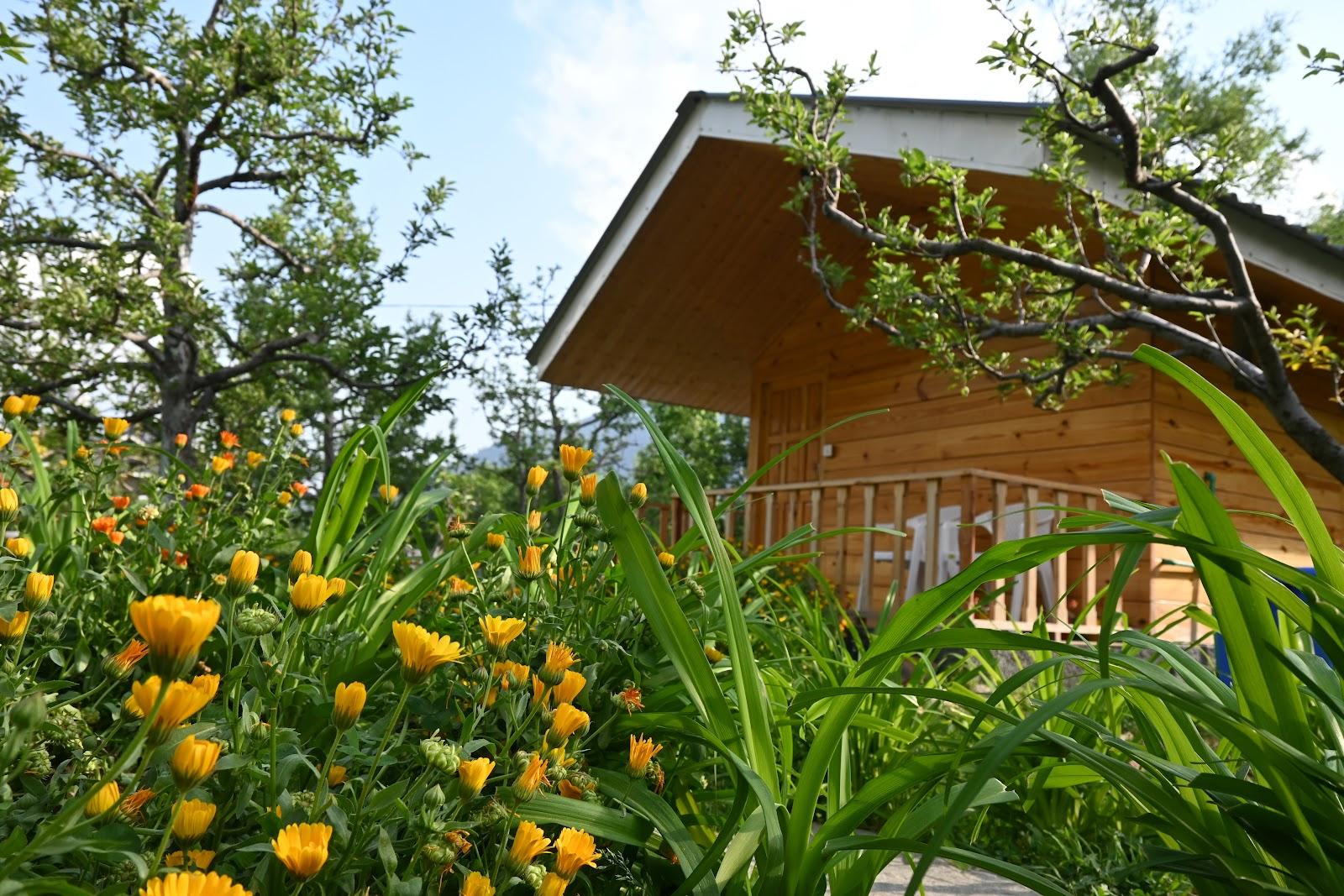 Cascade Mountain Retreat Manali (Pet Friendly) – photo 4