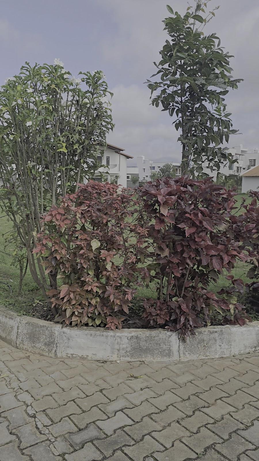 Tranquil Revtree Resort – photo 2