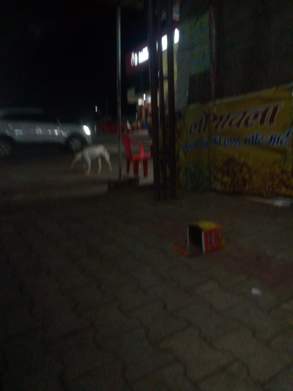 Hotel Vaishno Devi Katra – photo 2