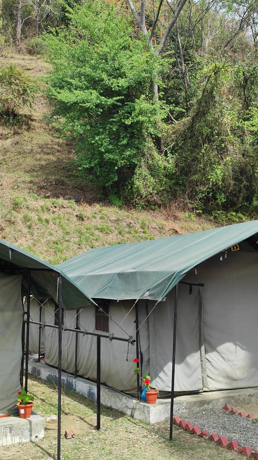 Jungle Stays Camp Retreat – photo 2