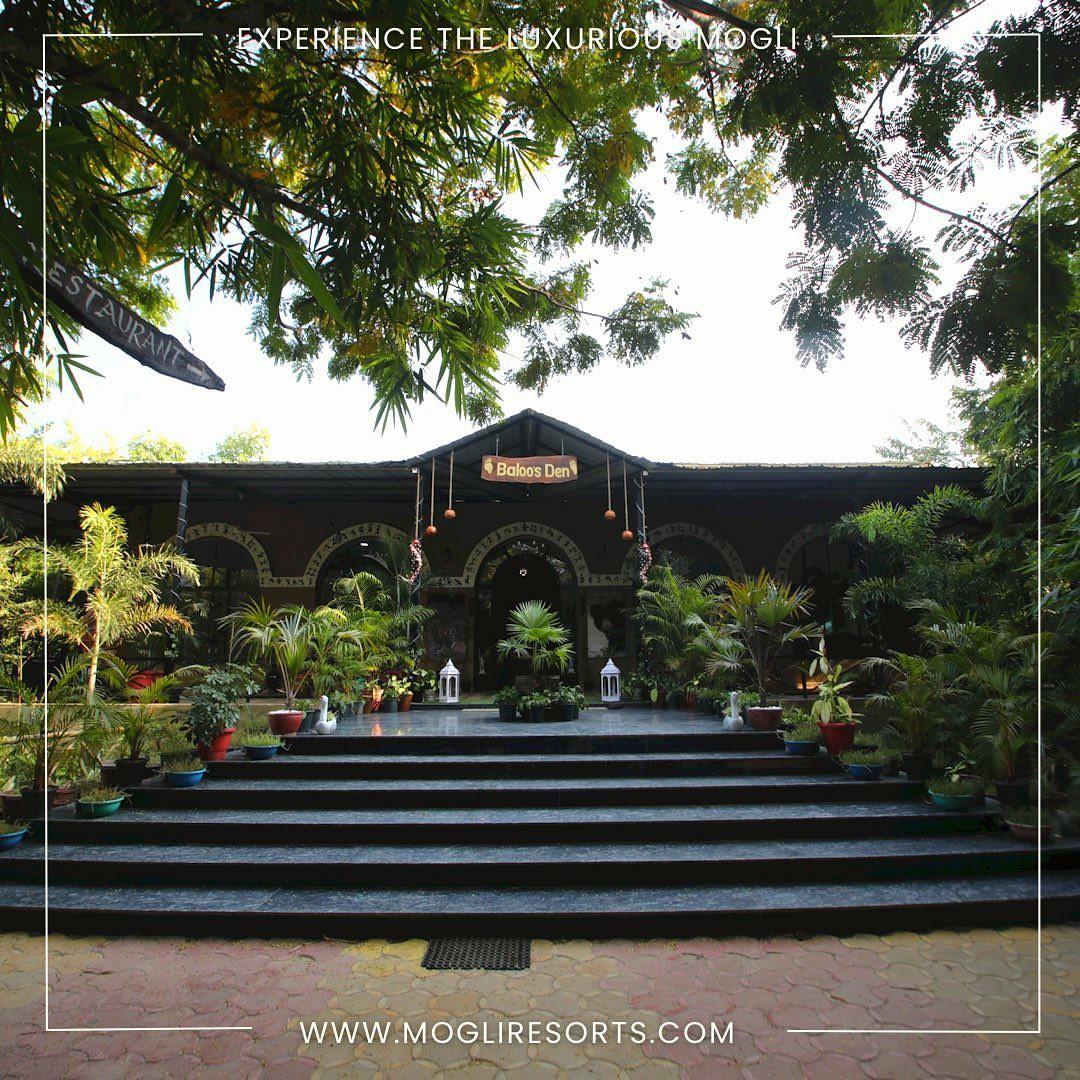 MOGLI RESORT, Kanha National Park. – photo 1