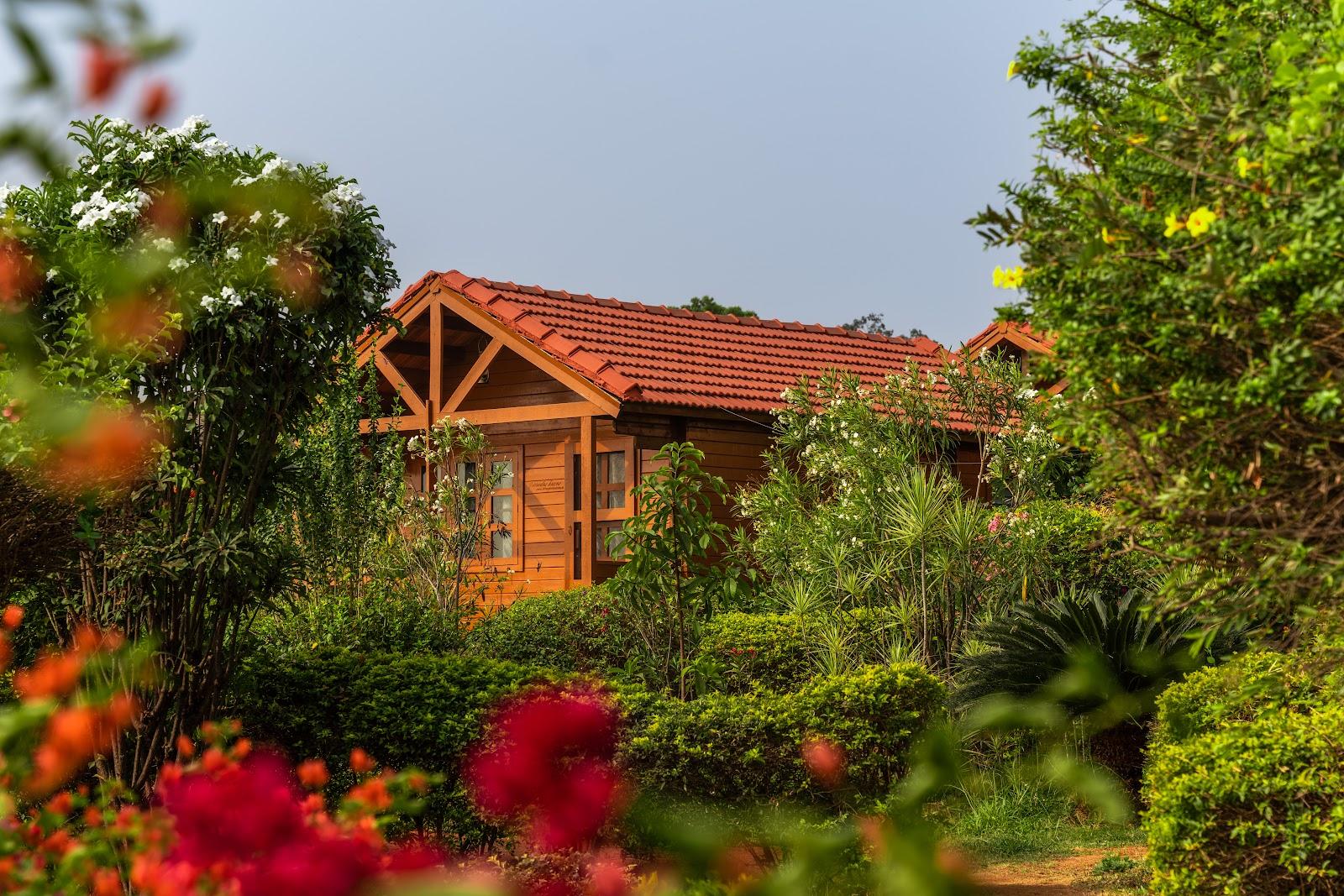 Leo wooden Resorts