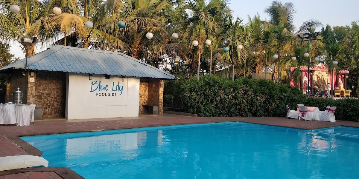 Palms Water Resort – photo 4