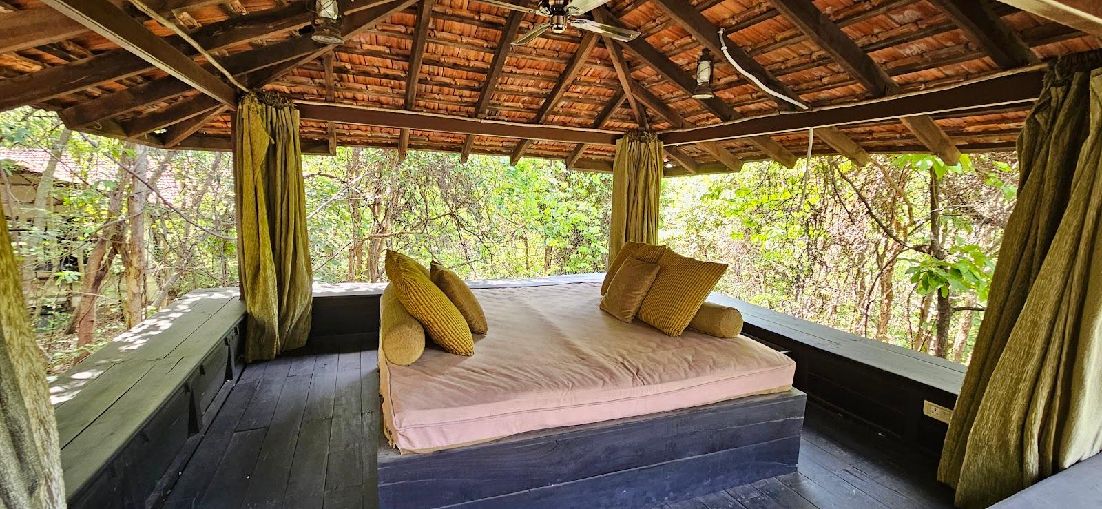 Baghvan - Pench National Park – photo 3