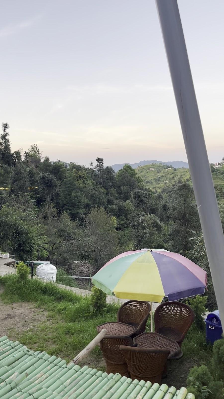 The Rare One's - Cafe, Resort and Hostel – photo 2