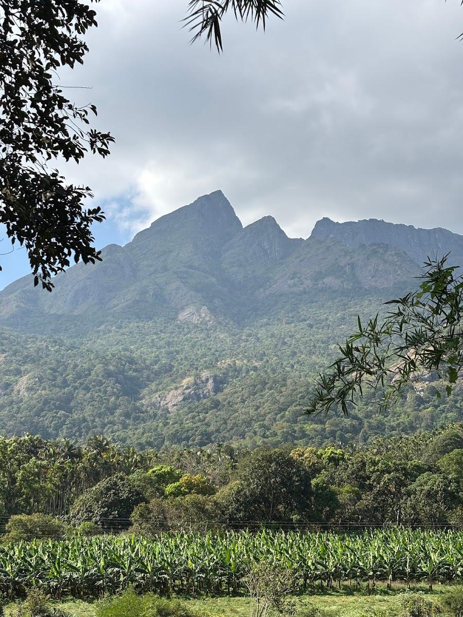 Silent Valley HomeStay Resort Attapadi – photo 2