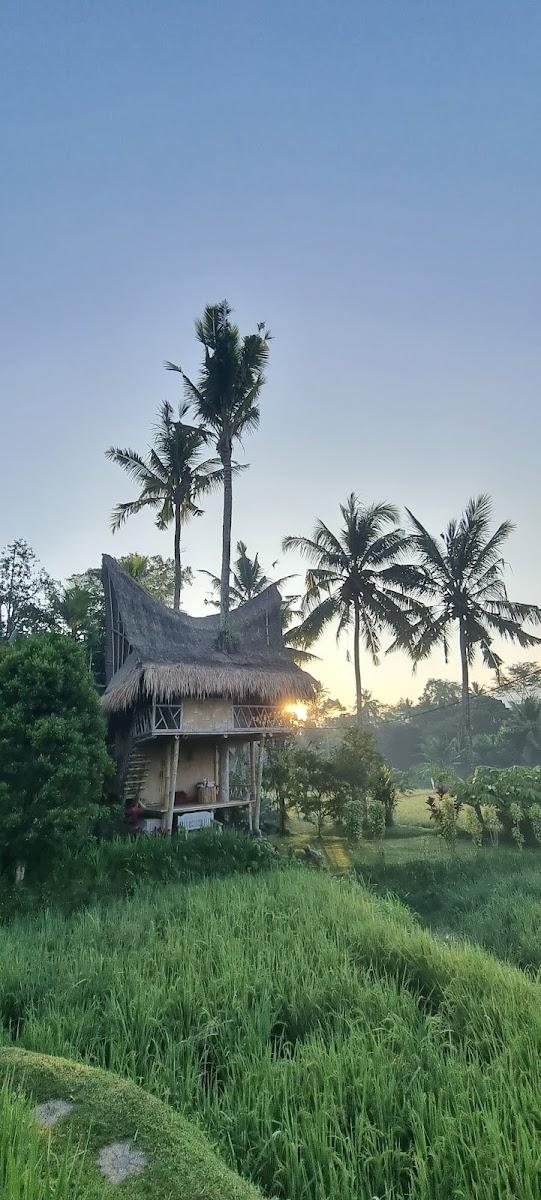 Bamboo Bali Treehouse – photo 4