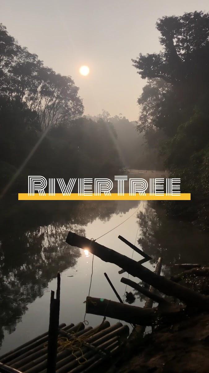 RiverTree Farmstay – photo 4