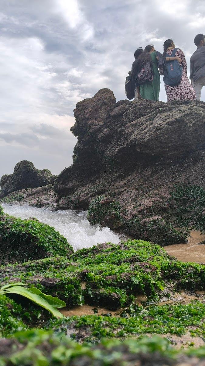 RK BEACH – photo 3