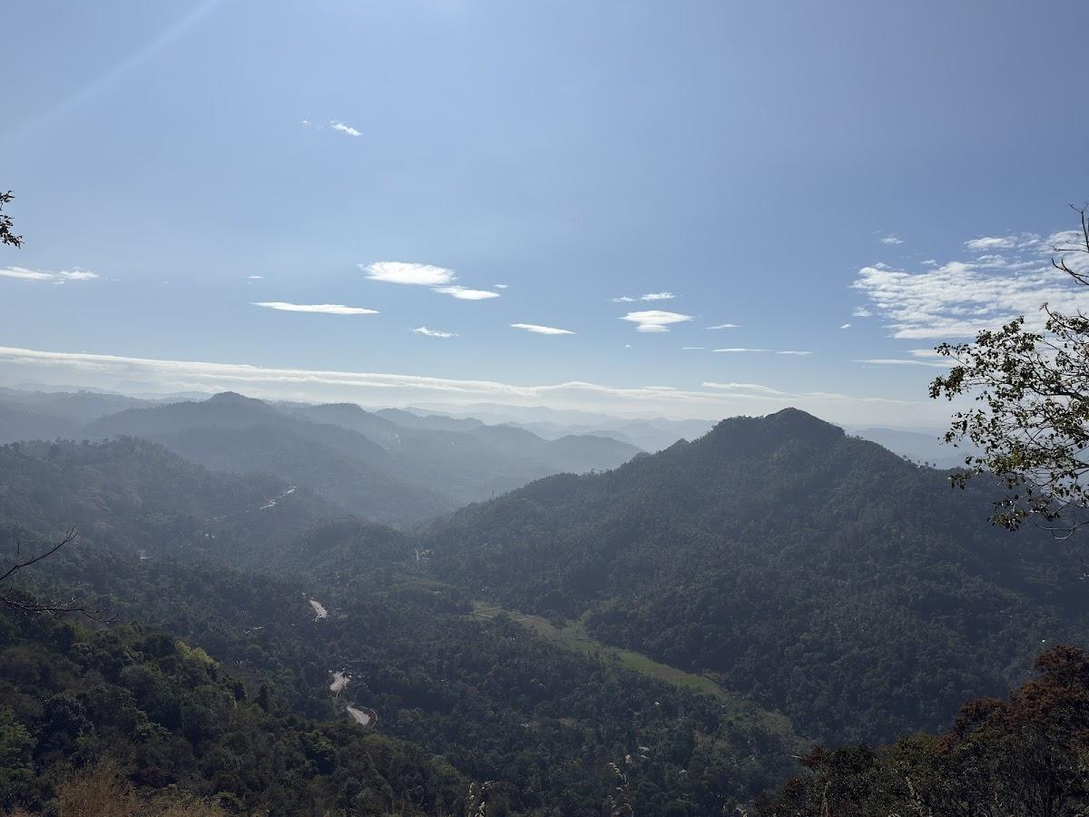 Willmount Cabin Homes, Munnar – photo 3
