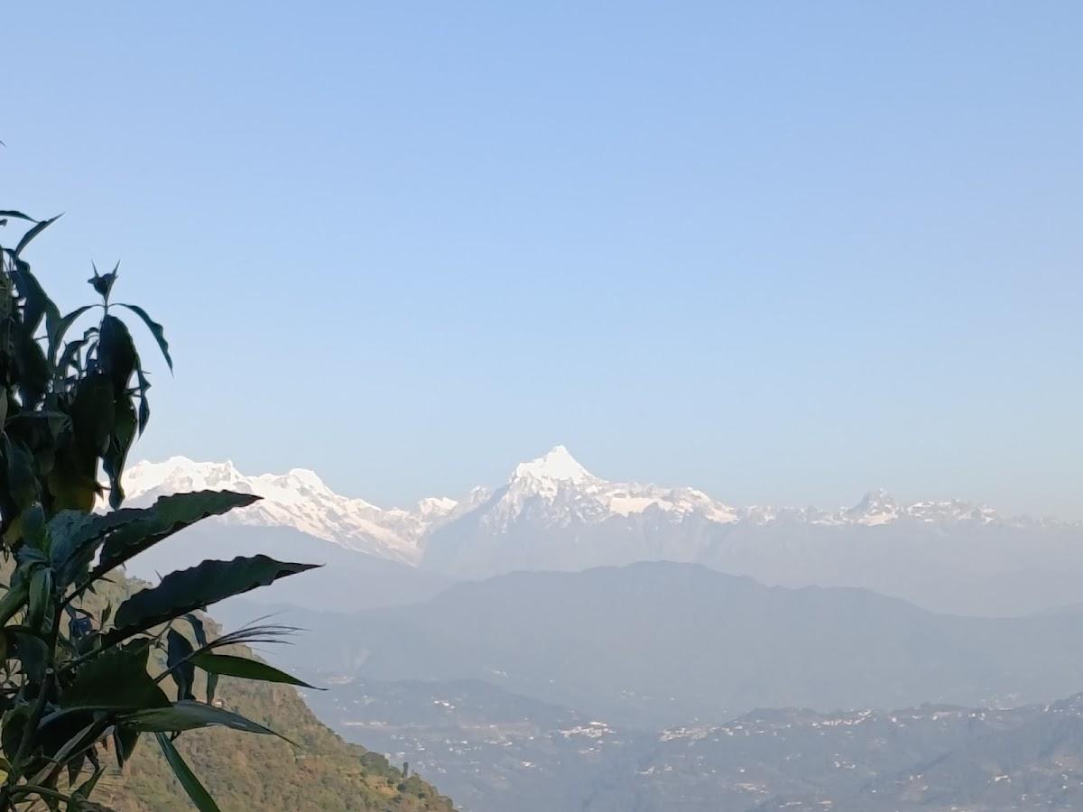 WILD ORCHID HOMESTAY – photo 4