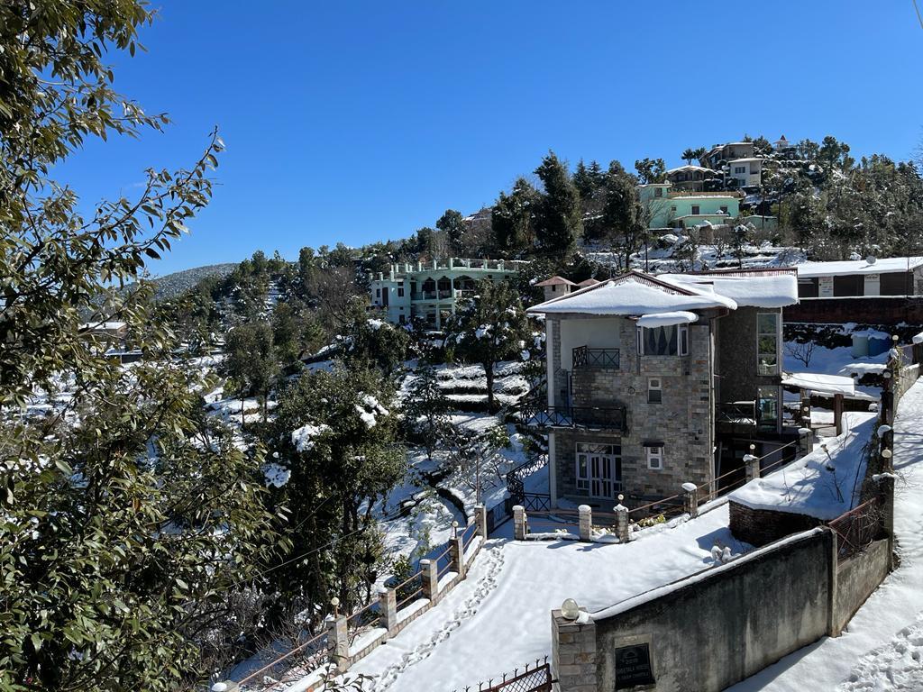 Sitla Estate – photo 4
