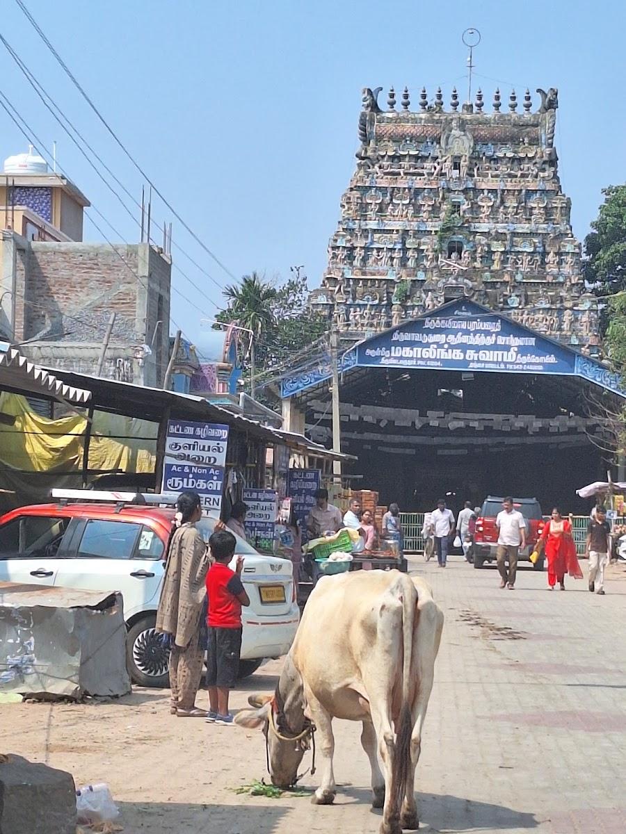 Mantra Koodam - CGH Earth – photo 2