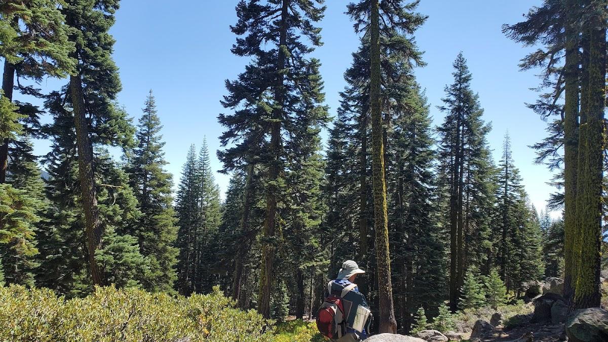 Red Fir Flat Group Campground – photo 3