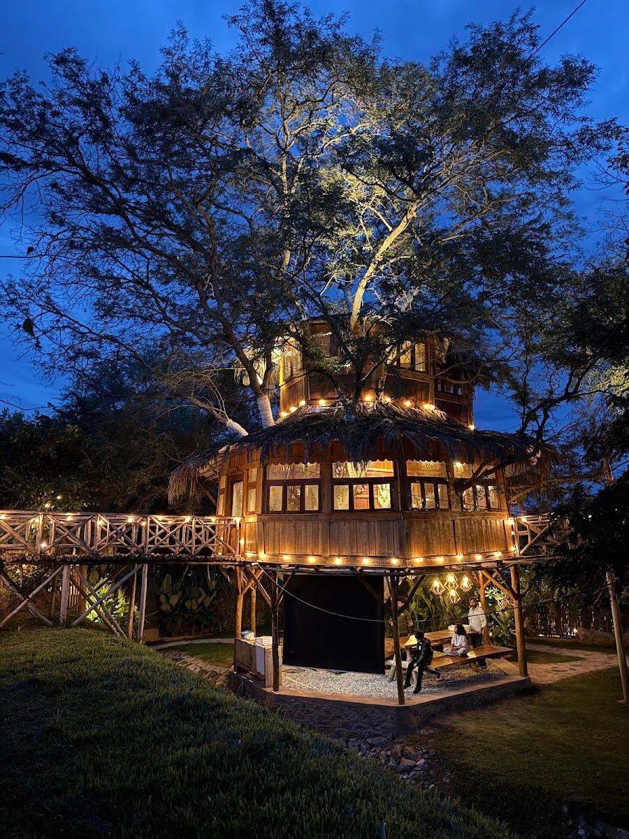 Wonderland by Jade - Treehouse Villa