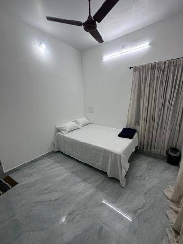 Tulips homestay – photo 3