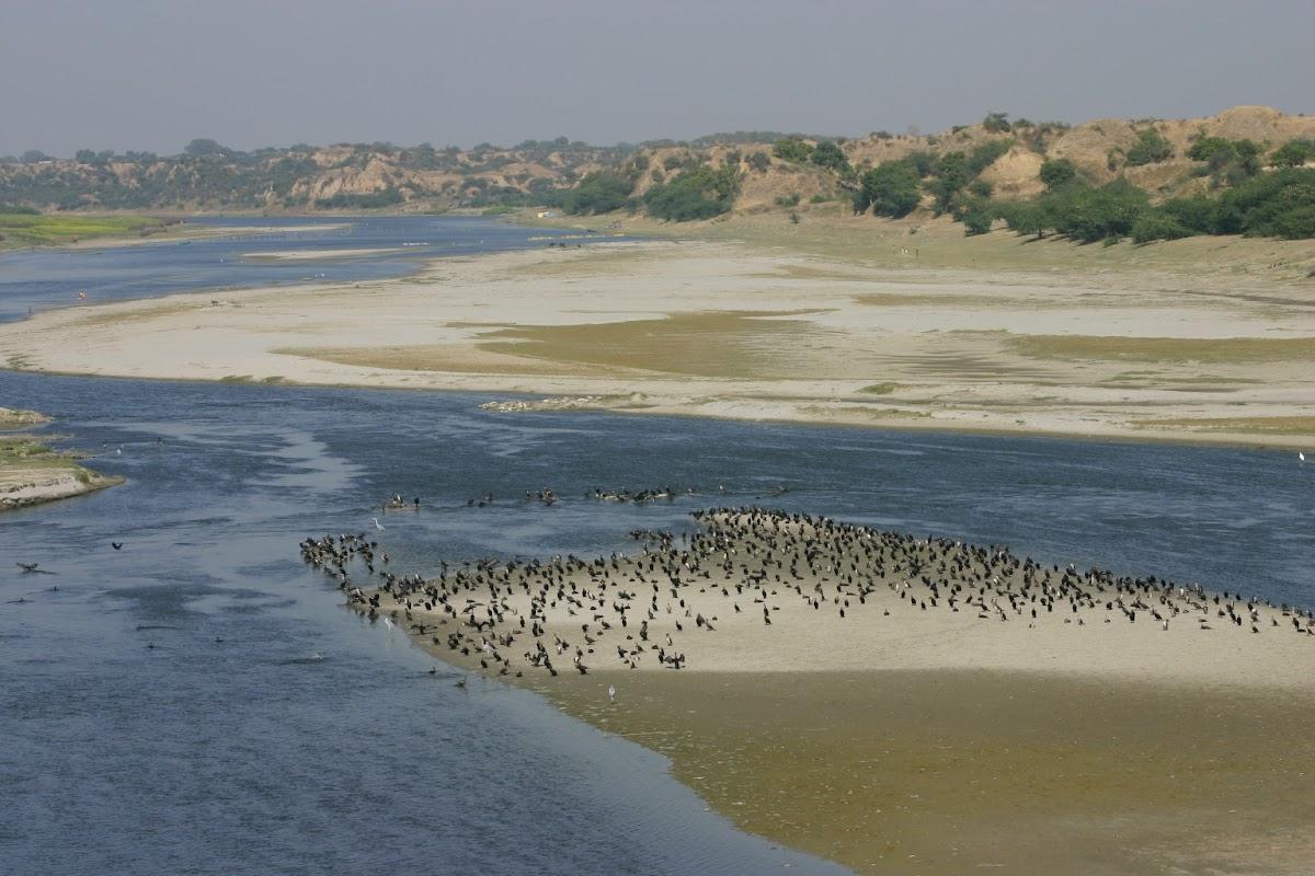 Mela Kothi - Chambal Safari Lodge – photo 4