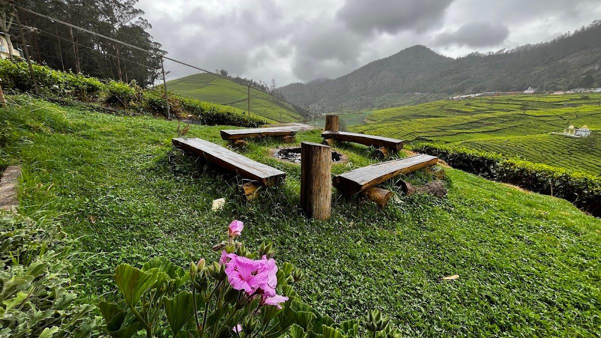 Tea Leaf Stays by Brown Tree Resorts – photo 1