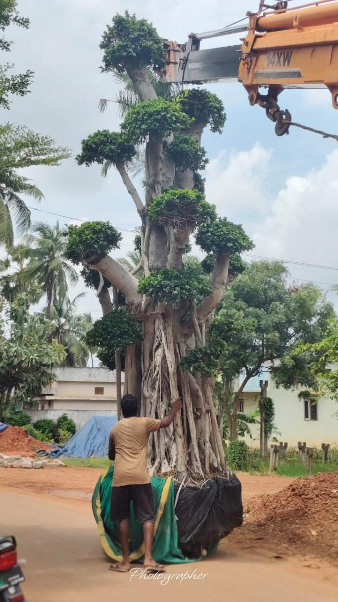 Visakhapatnam – photo 2