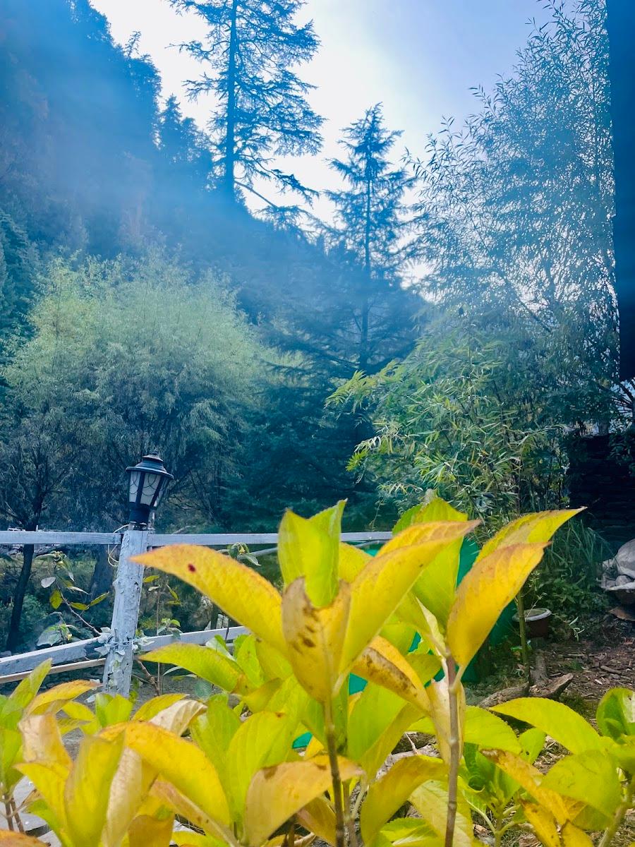 Mystic Vibes Jibhi – photo 3
