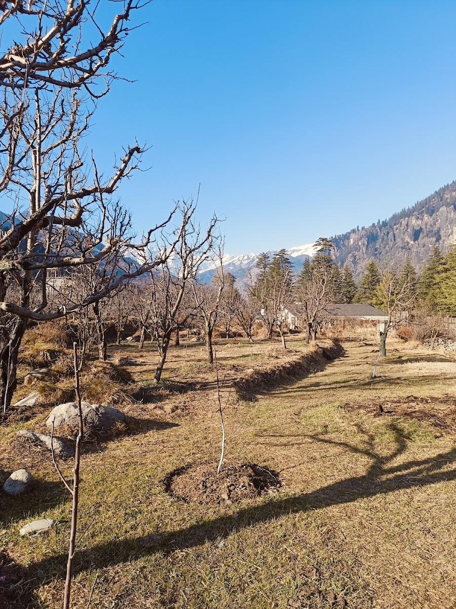 Old Town Manali – photo 2