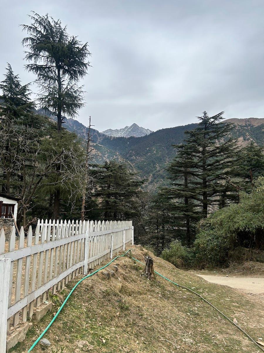Himtrek Stays Mcleodganj – photo 3