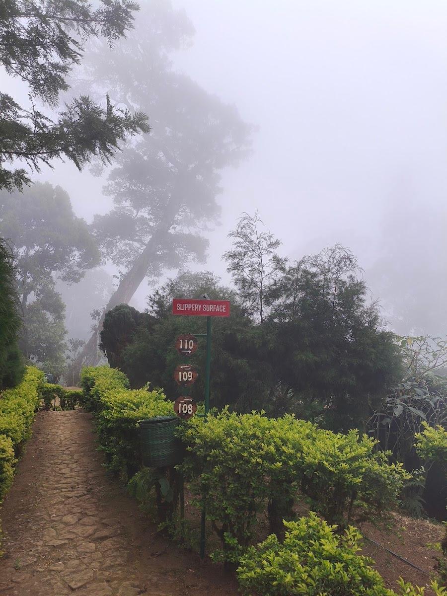 Nature Zone Resort Munnar - Tree House, Luxury Tents, Munnar – photo 2