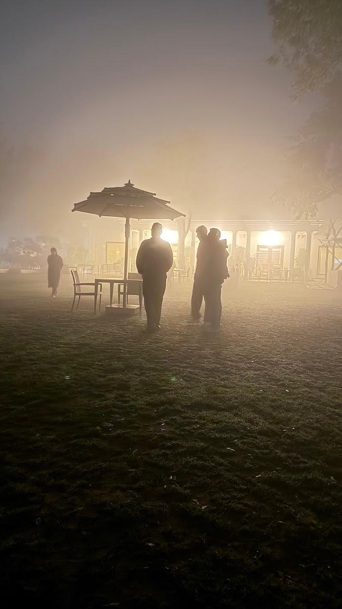 The Maharaja's Lodge, Ranthambore – photo 4
