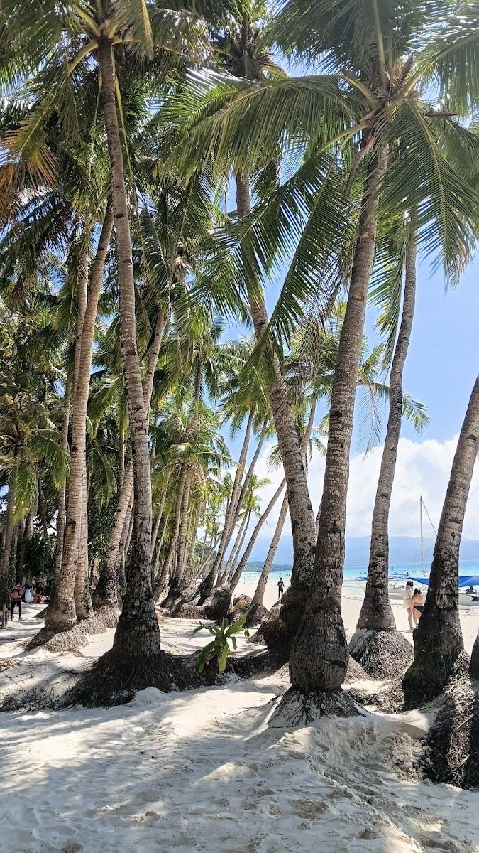La Fiesta Resort – photo 2