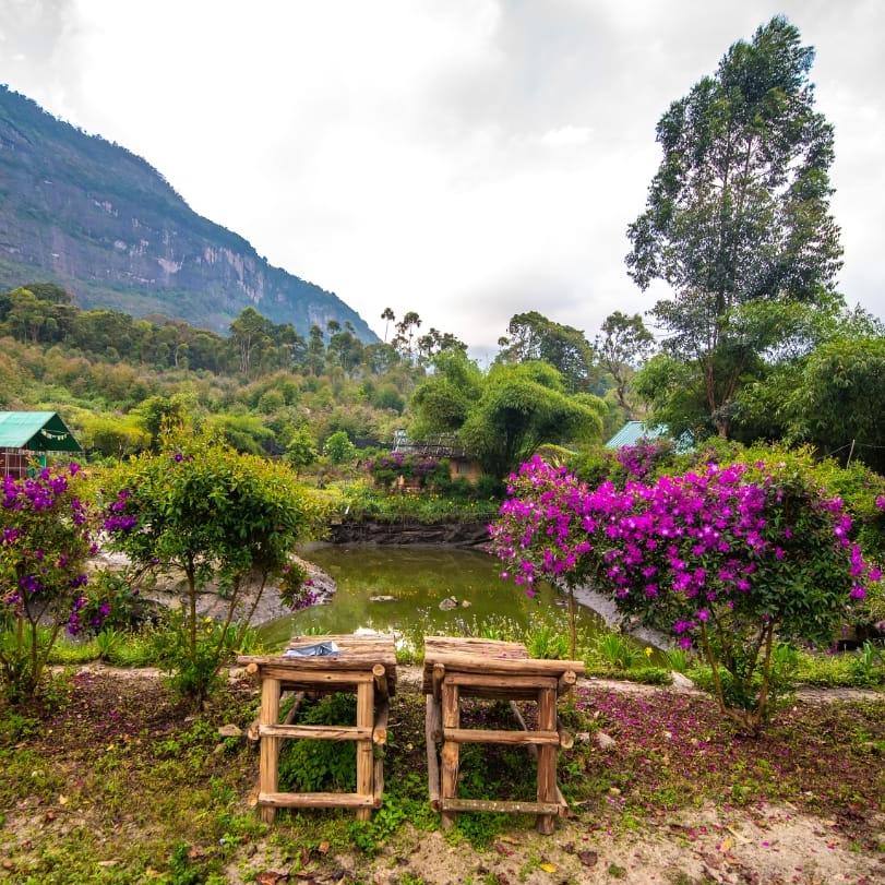 SKYBZ - Kanthalloor Jungle Resort – photo 3