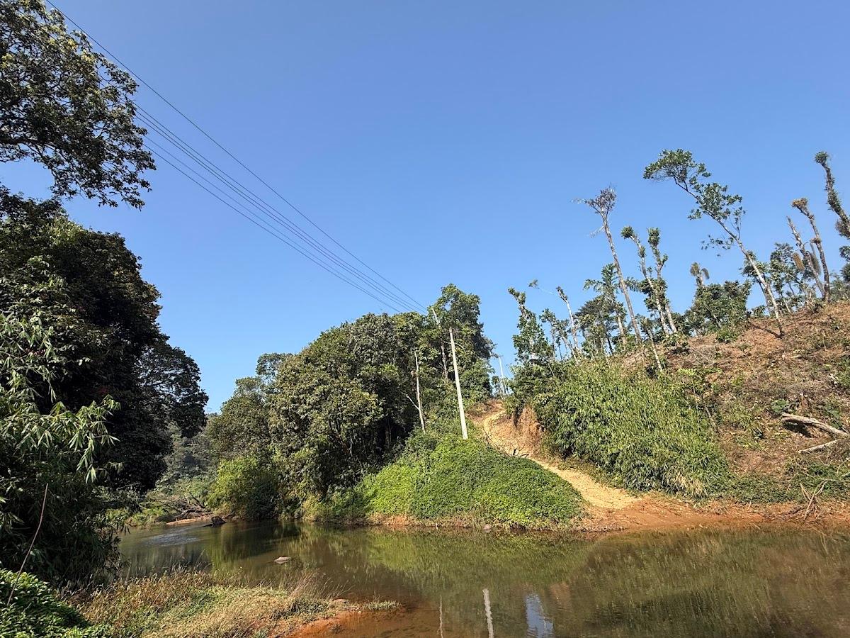 KaatiKaadu – photo 3