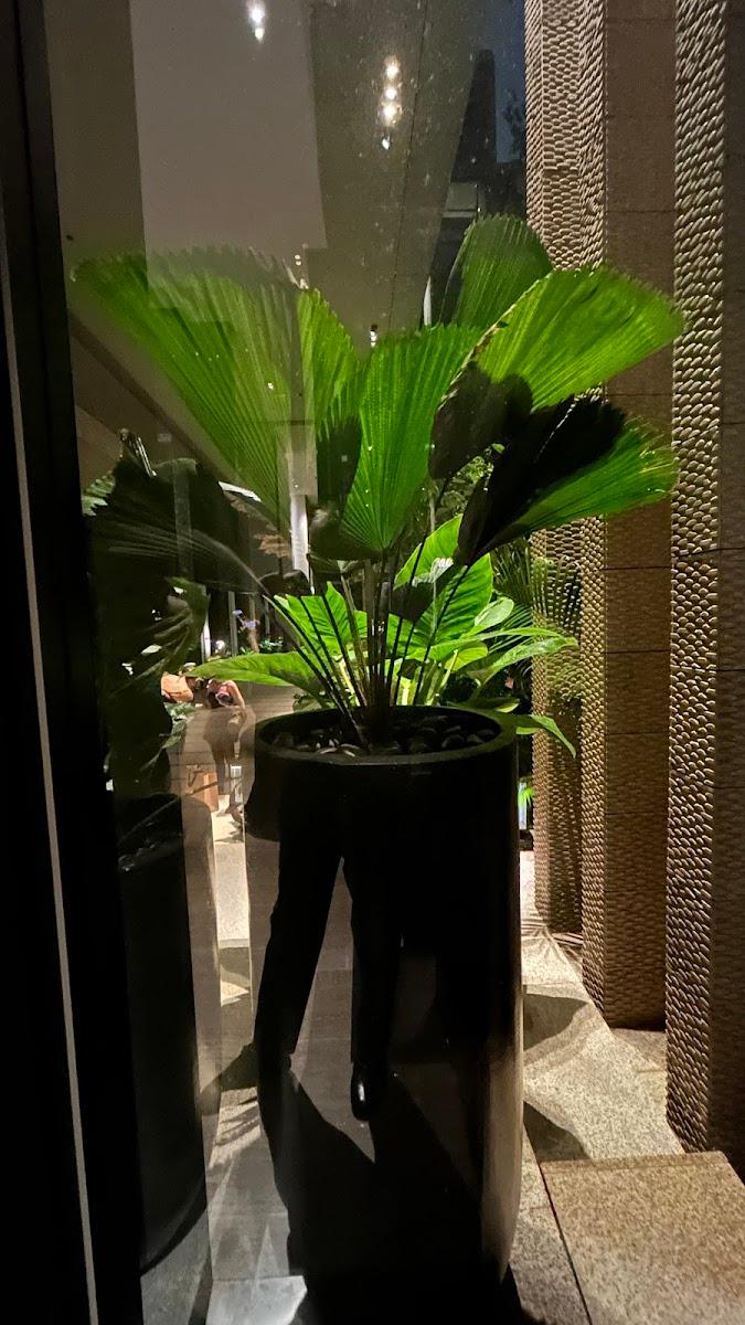 Four Seasons Hotel Bangkok at Chao Phraya River – photo 1