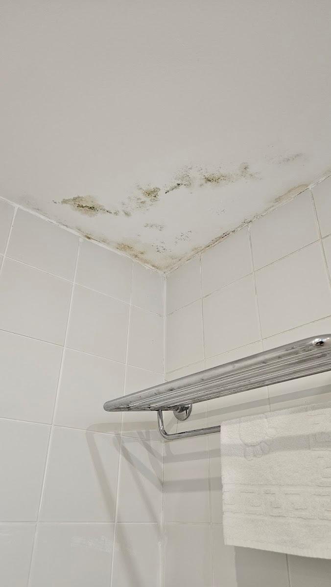 Hotel Rivijera – photo 2