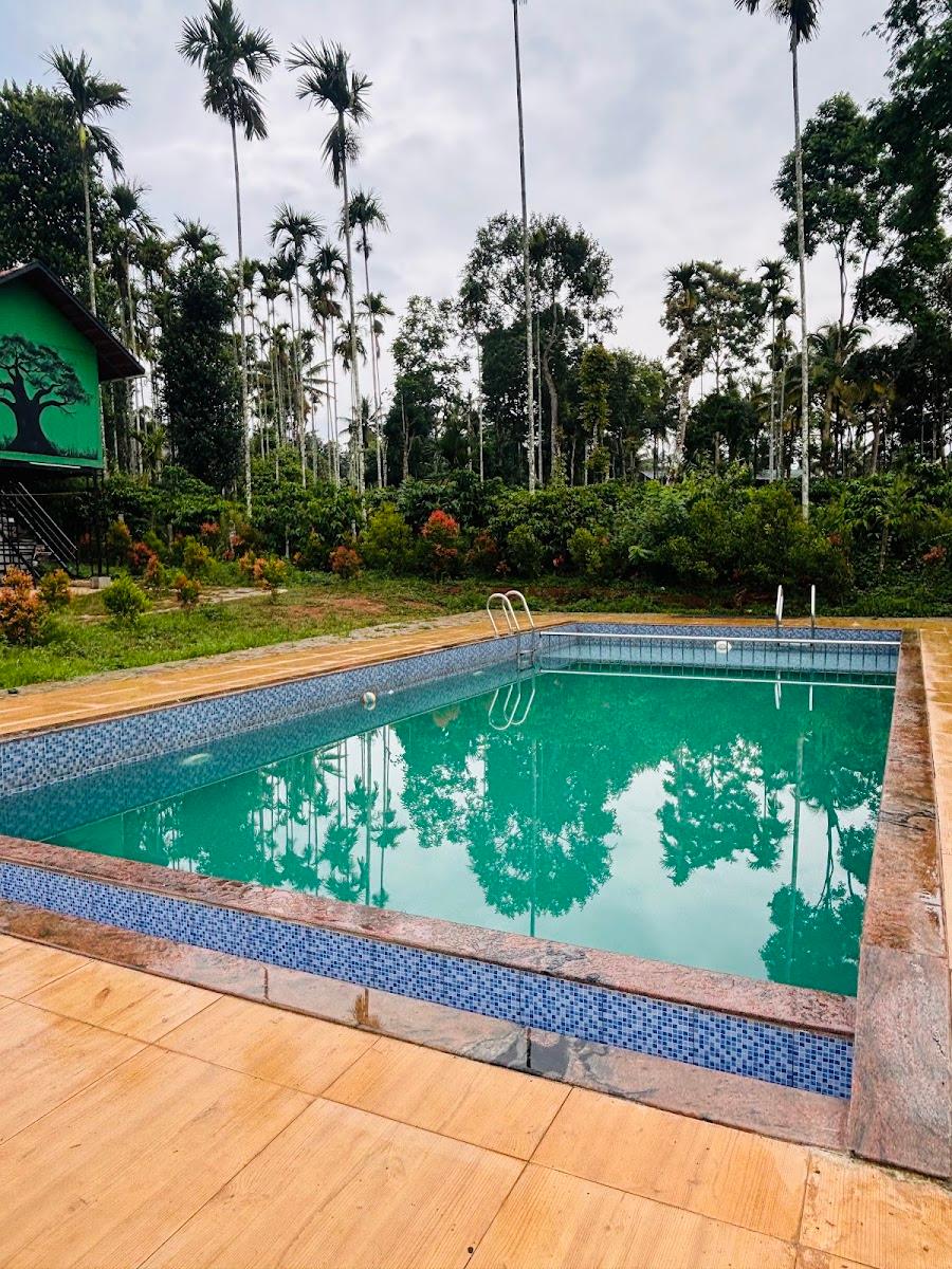 DK VILLAGE JUNGLE RESORT – photo 1