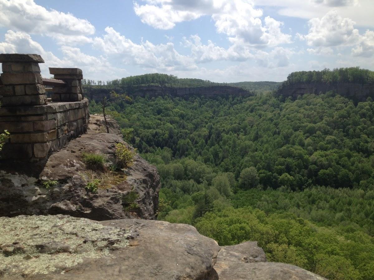 Red River Gorgeous Wilderness Treehouse & Cabin Rental – photo 1