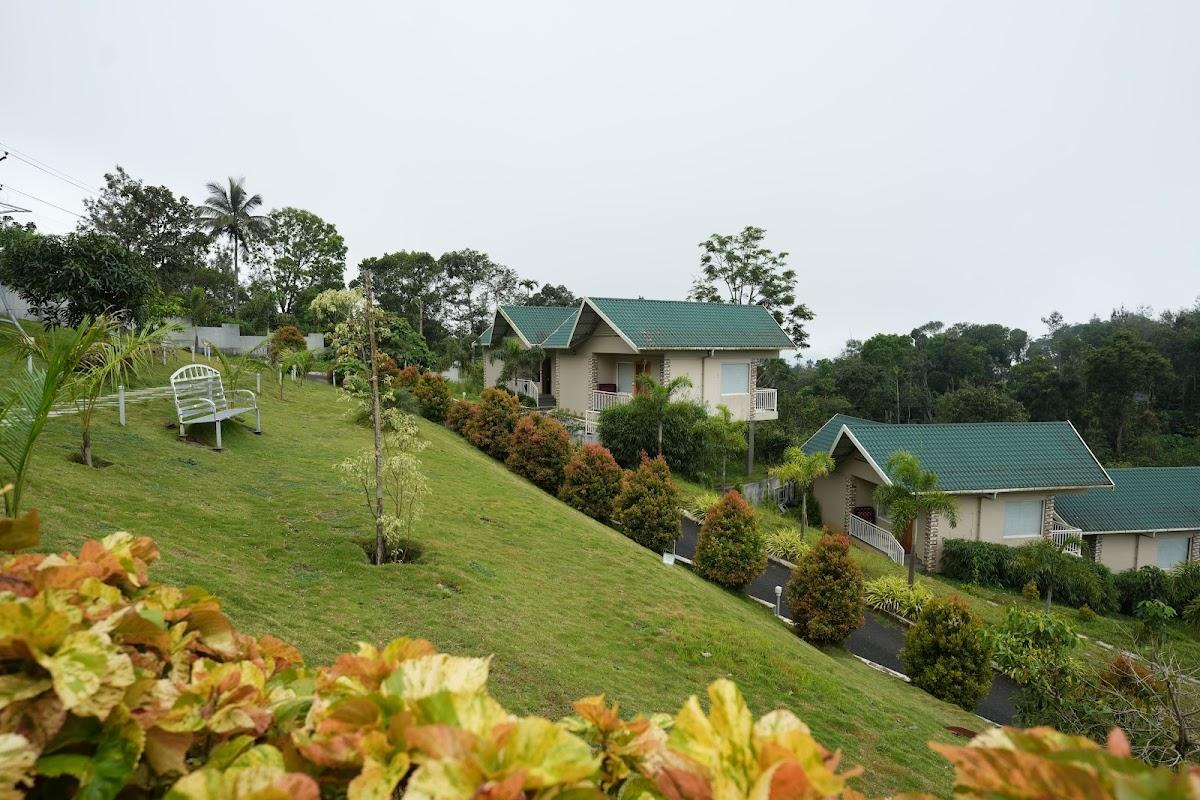 Aveda Mountains and Mist – photo 3