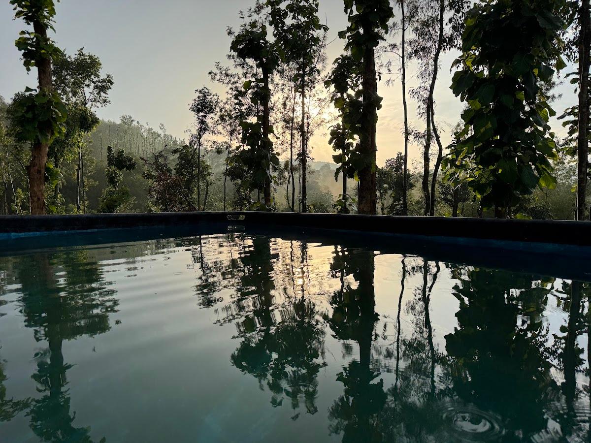 Pepper Peak Homestay – photo 4