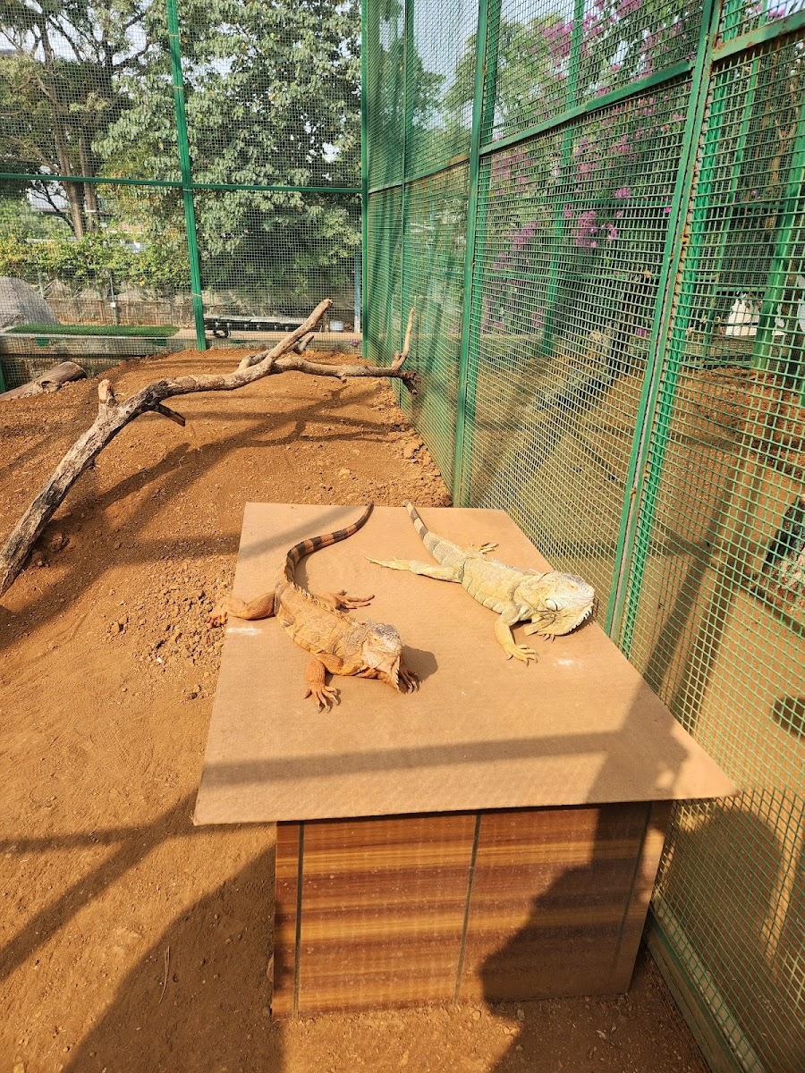 Manas Resort Petting Zoo Igatpuri – photo 3