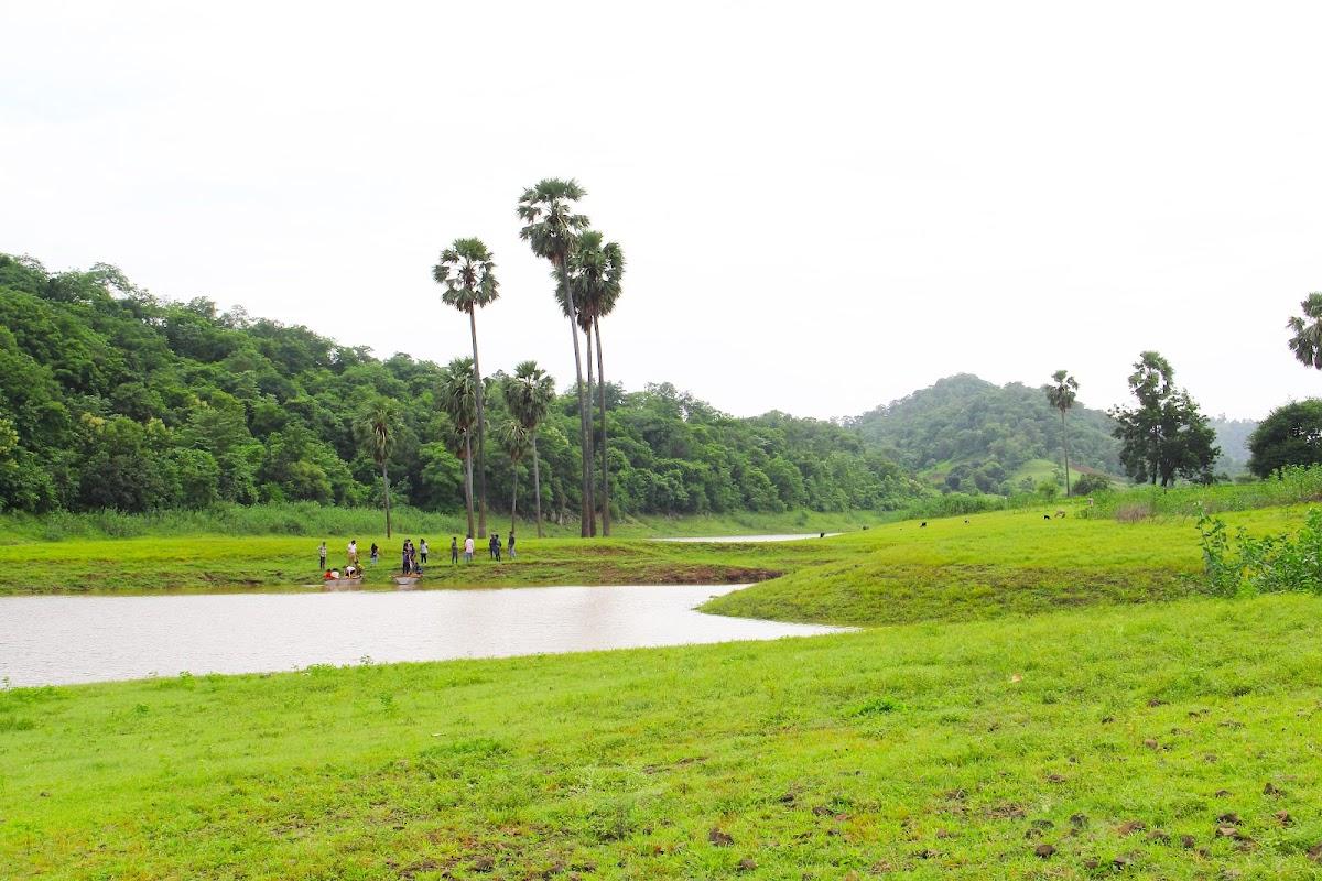 VISHALKhadi Eco Campsite – photo 4