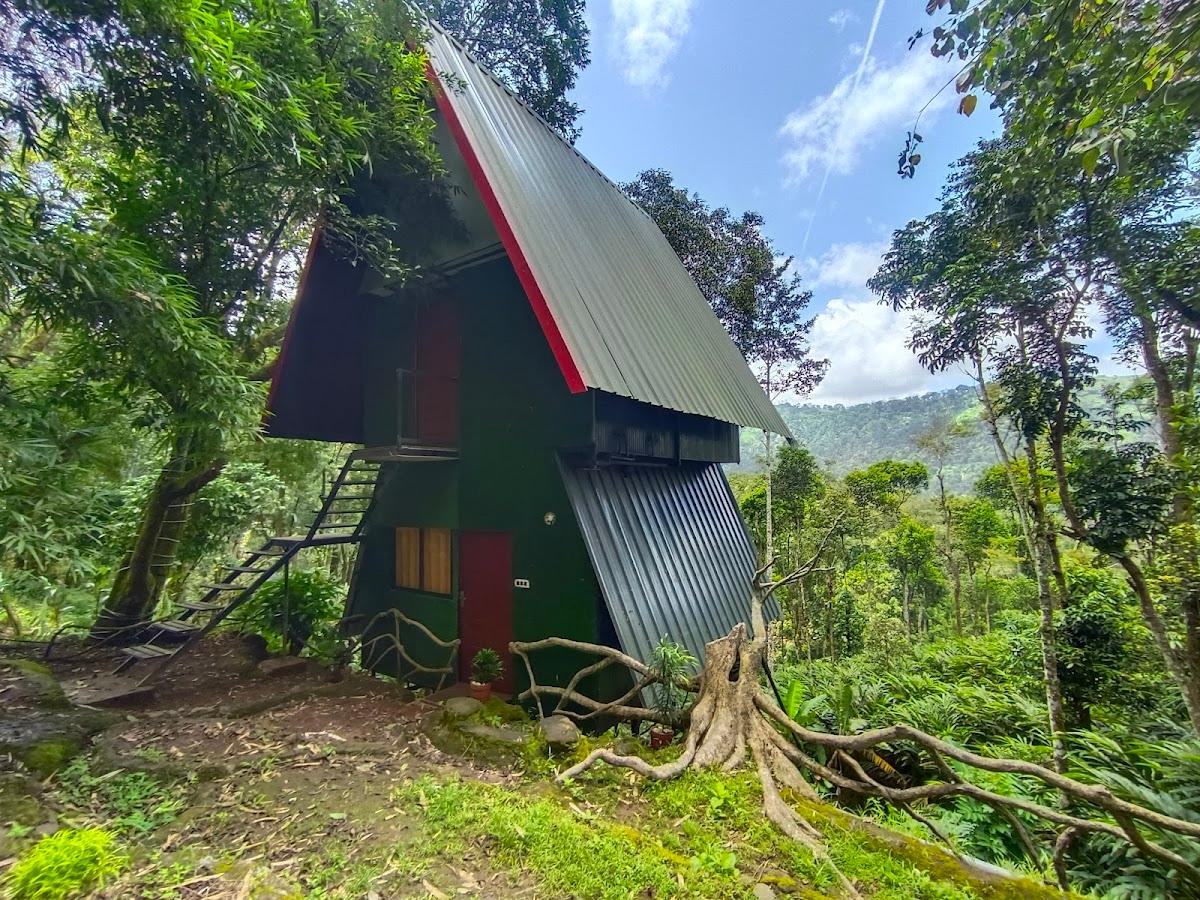 Silver Trees Plantation Tree House Munnar – photo 4