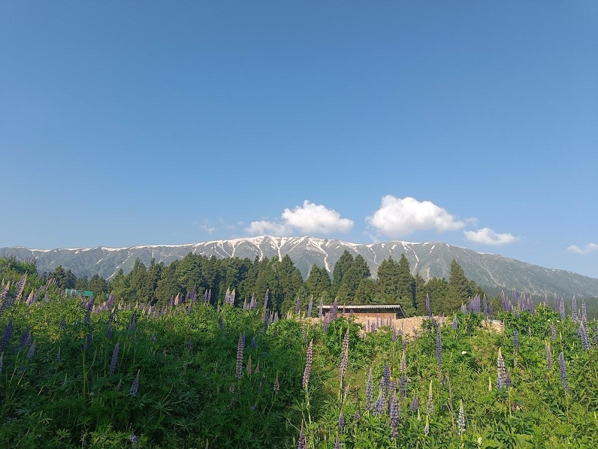 Hotel Nedou's – photo 4
