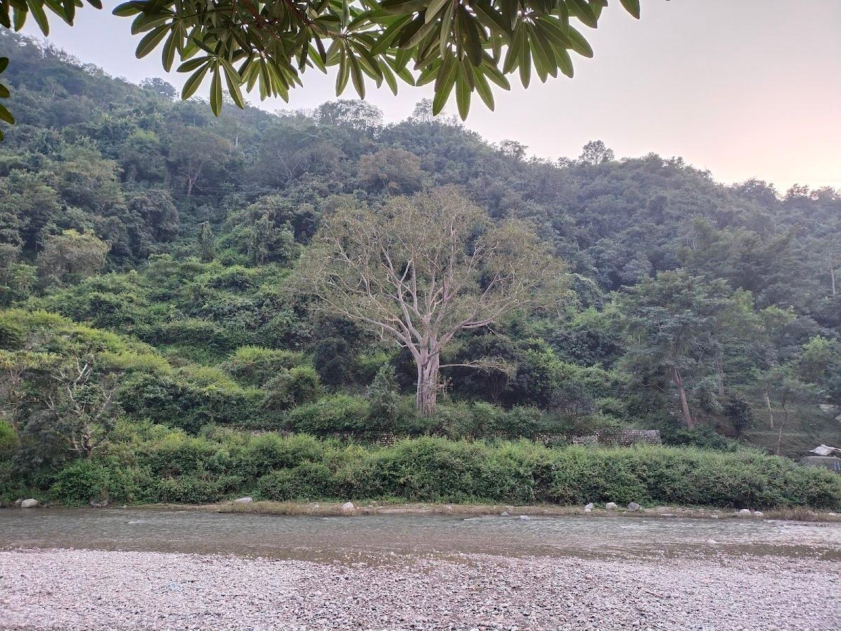 Mohan Chatti Resort – photo 4